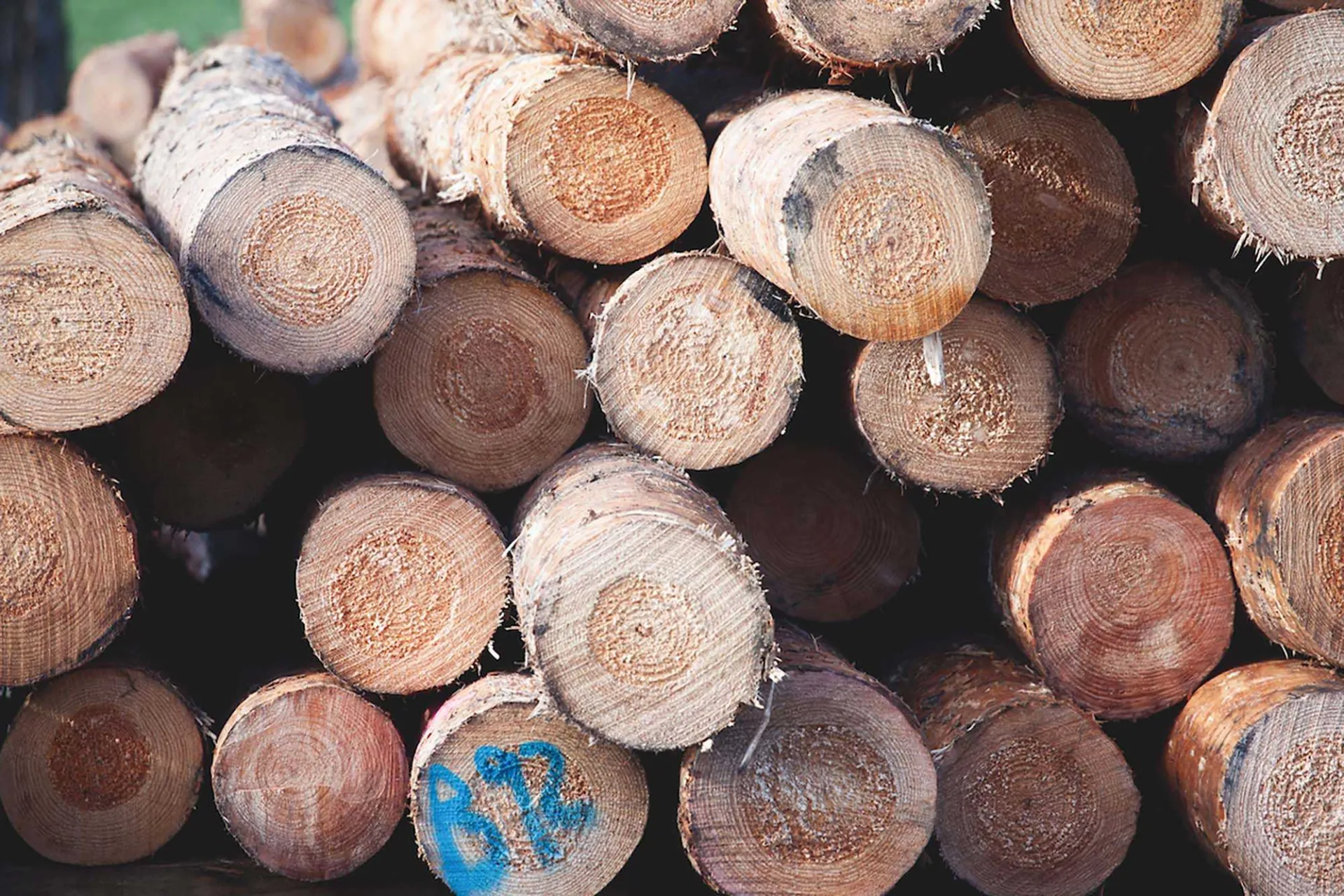 minimising our impact with ABODO wood cladding