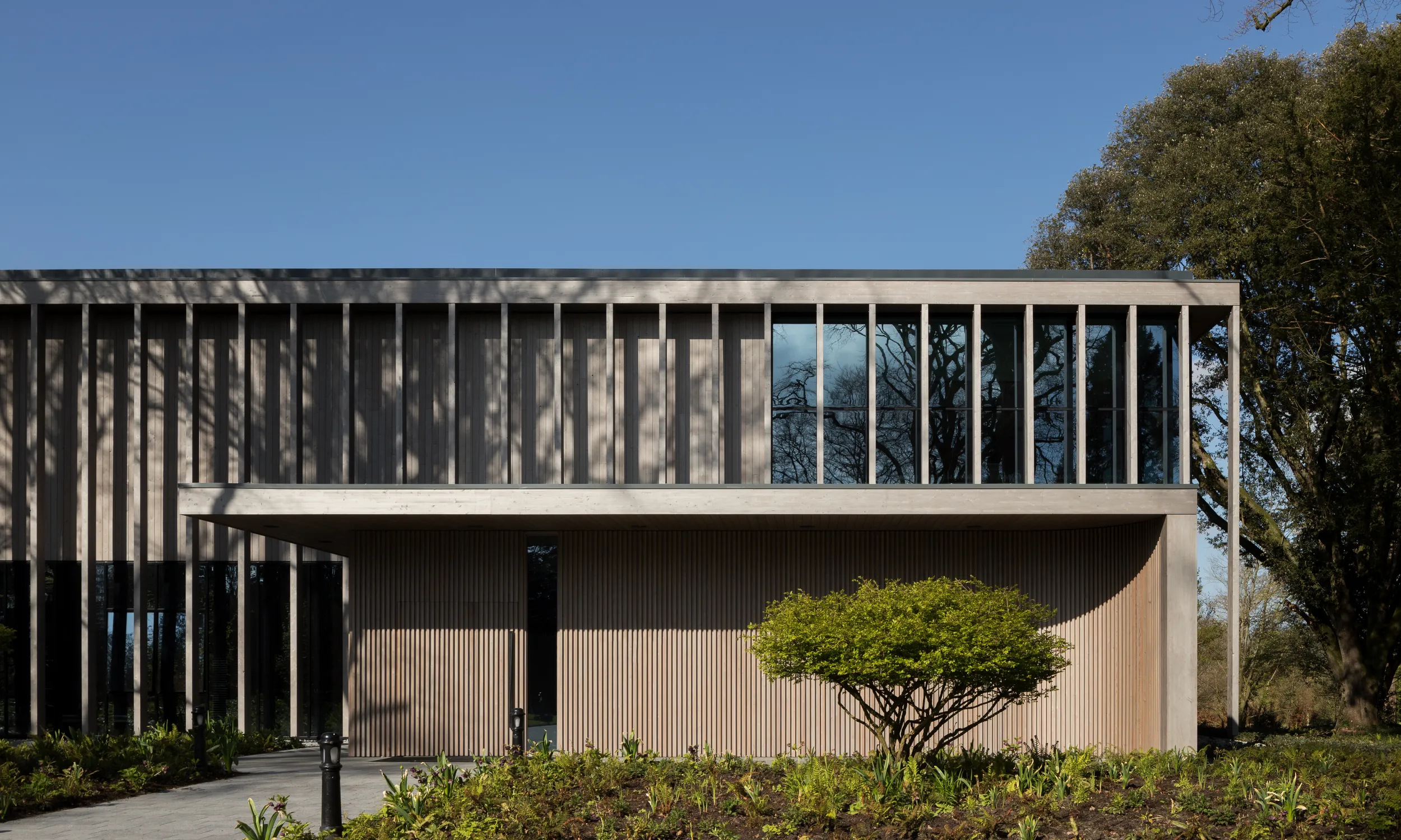 Pre-weathered timber cladding Adare Manor Padel Club texture