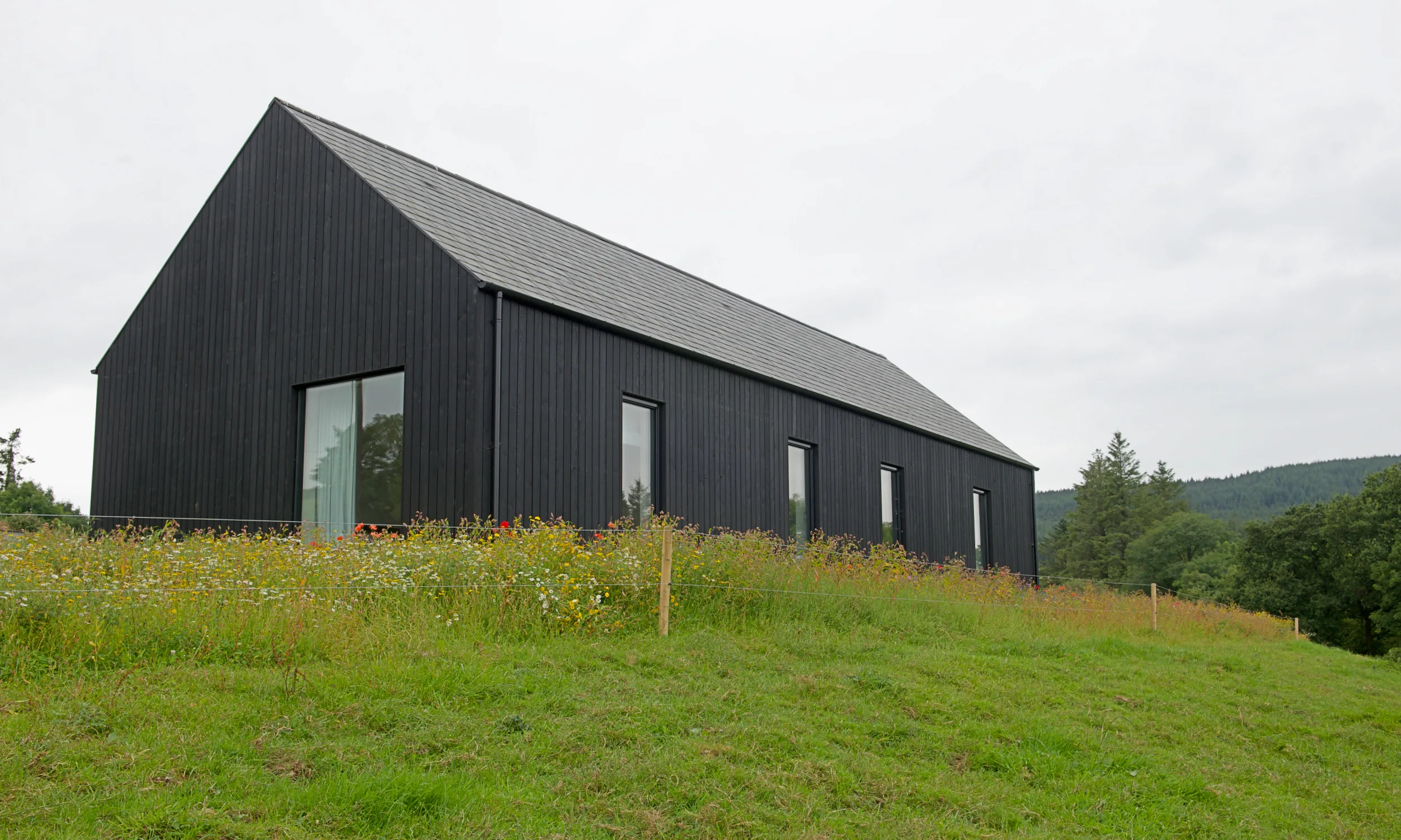 Avara™ Character Yakisugi cladding Twin Peaks Cork hill top view