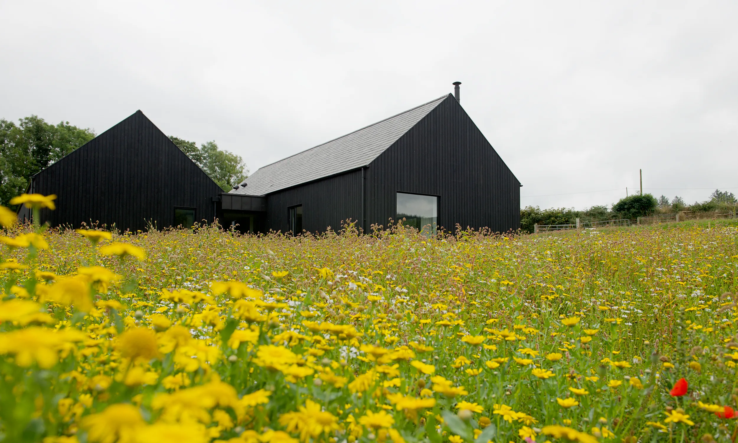 beautiful project of avara yakisugi cladding
