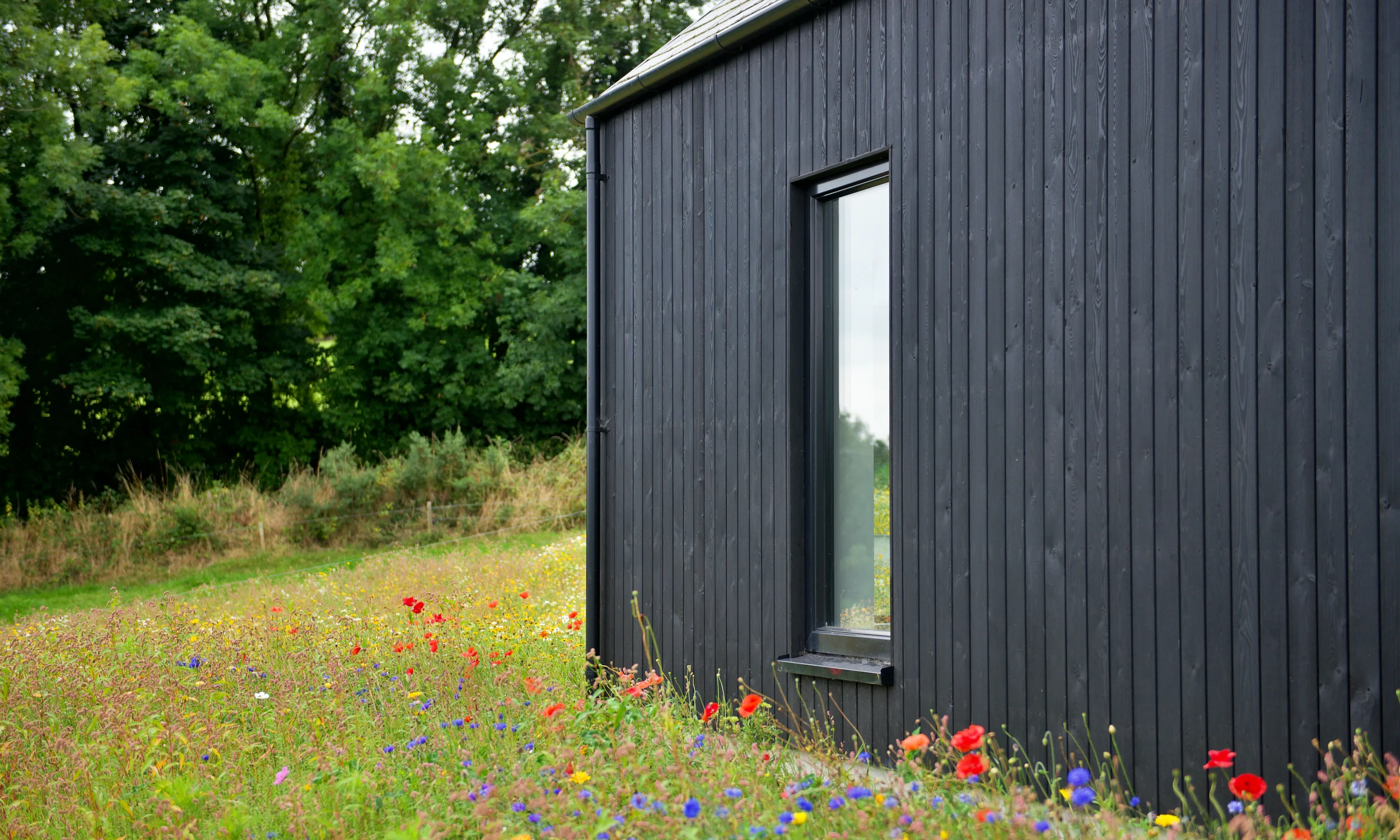 Avara™ Character Yakisugi cladding Twin Peaks Cork close up