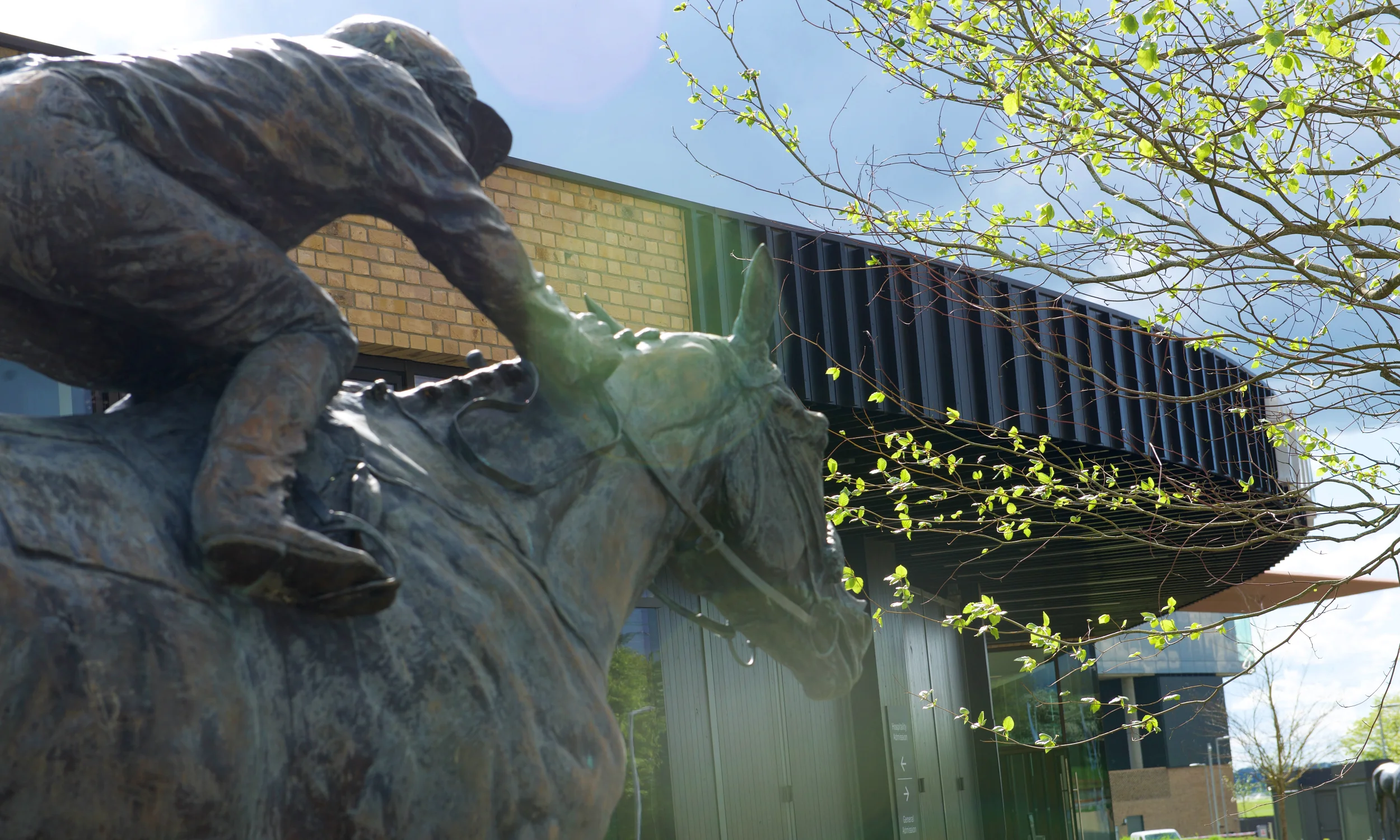 Timber cladding Curragh Racecourse close-up