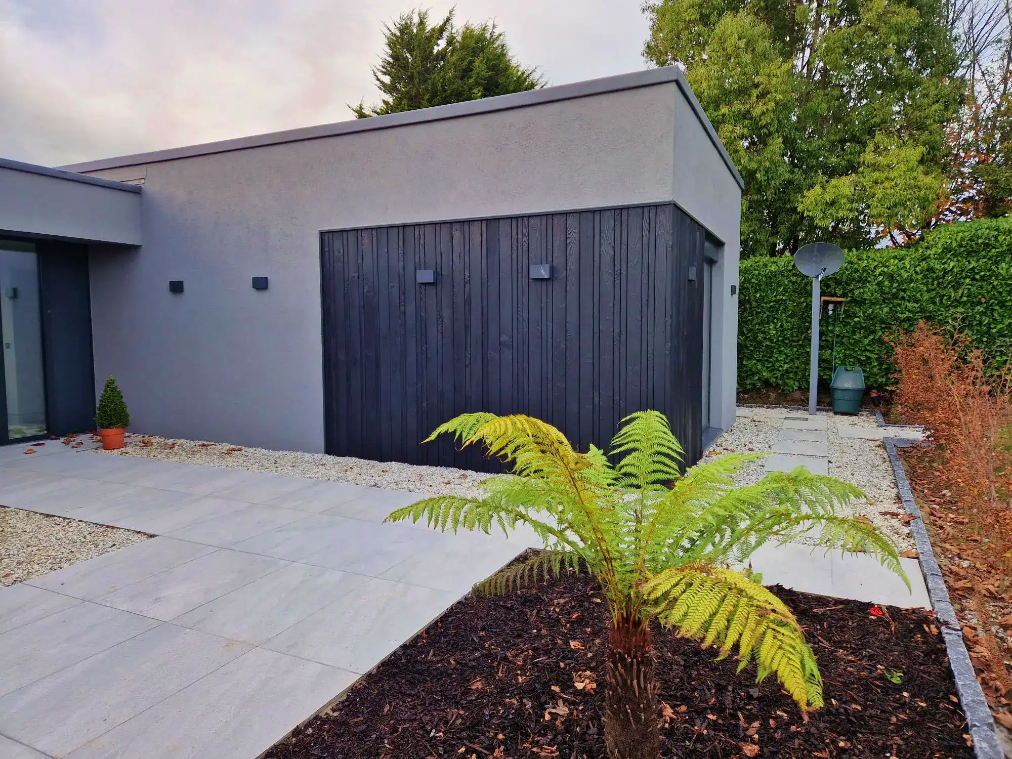Douglas fir Yakisugi cladding Cork interior feature wall