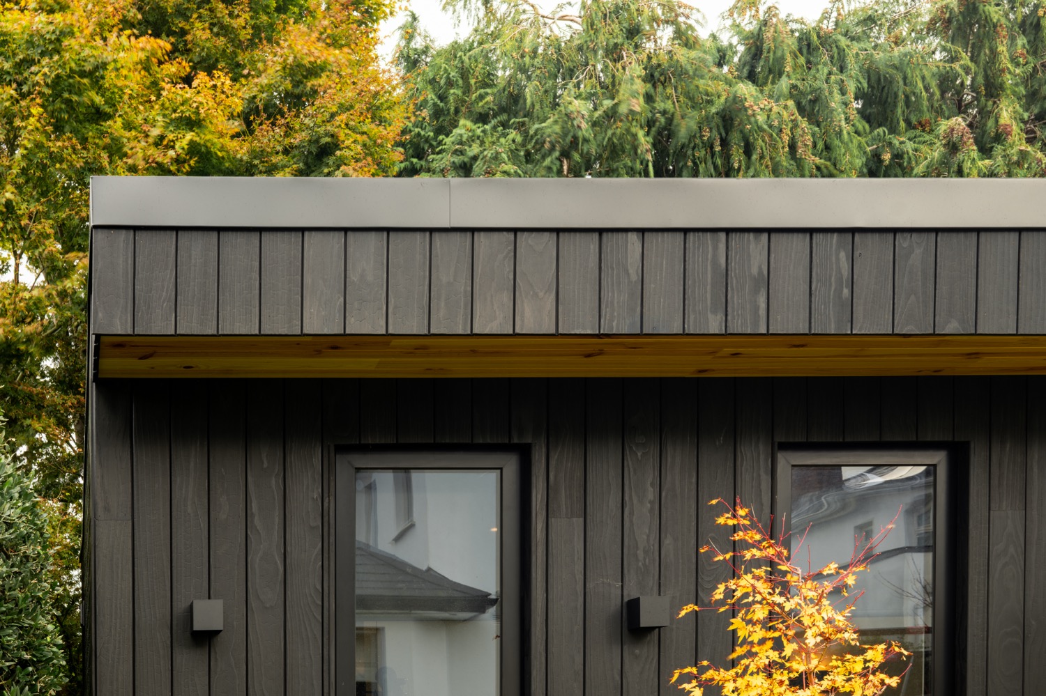 Avara® yakisugi cladding