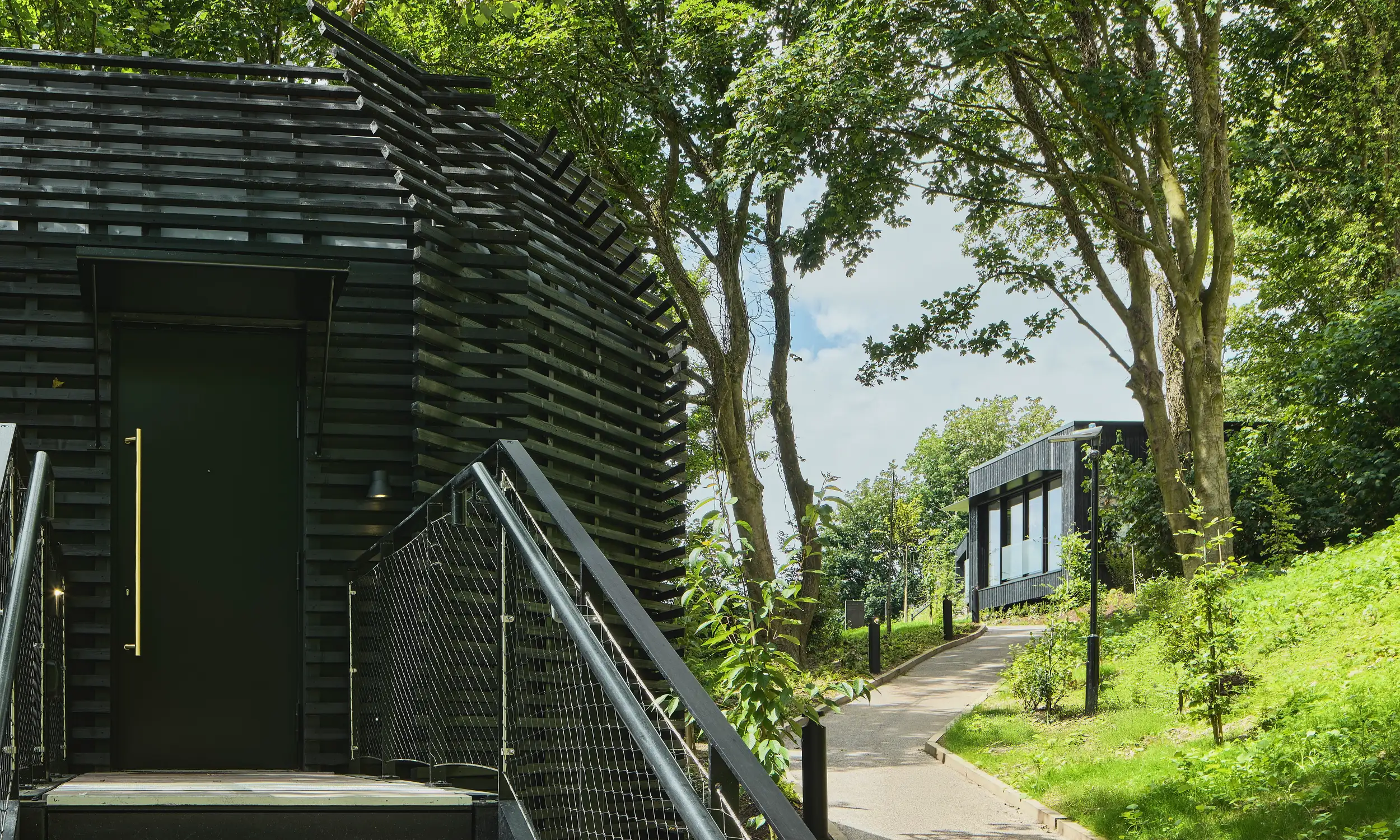 Avara™ timber cladding Montenotte Hotel rhombus section